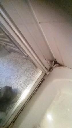 Deep Cleaning a Shower Cubicle Before